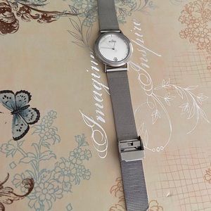 Skagen stainless steel mesh watch